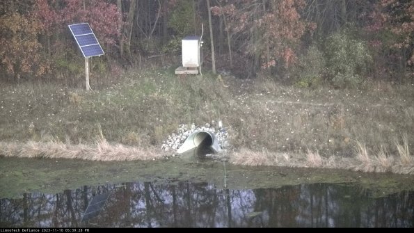 Basin Inflow_23-11-10_17-39-29-04