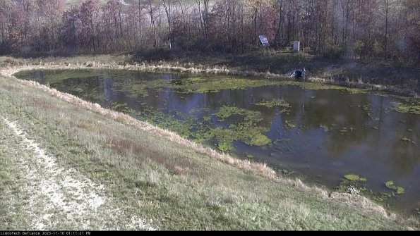 Basin_23-11-10_13-11-21-91