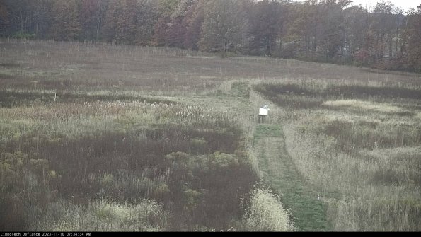 Cell 1 to 2_23-11-10_07-34-34-79