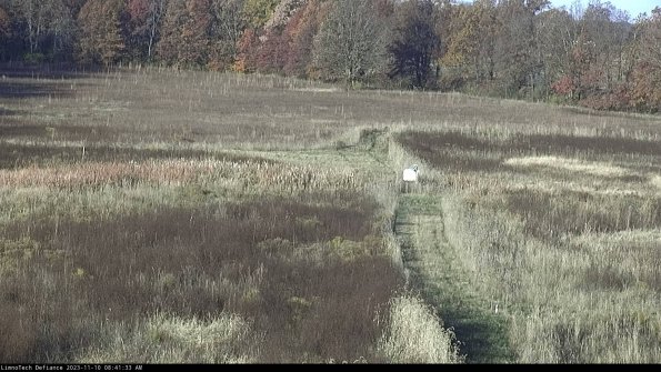 Cell 1 to 2_23-11-10_08-41-33-79