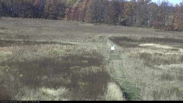 Cell 1 to 2_23-11-10_11-29-01-78