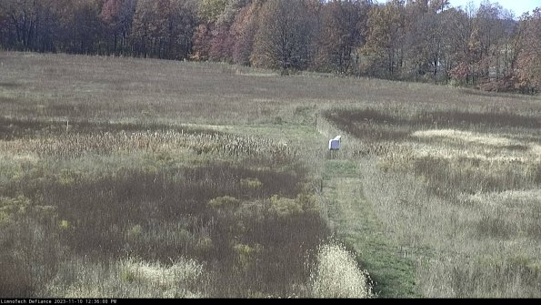 Cell 1 to 2_23-11-10_12-36-00-78