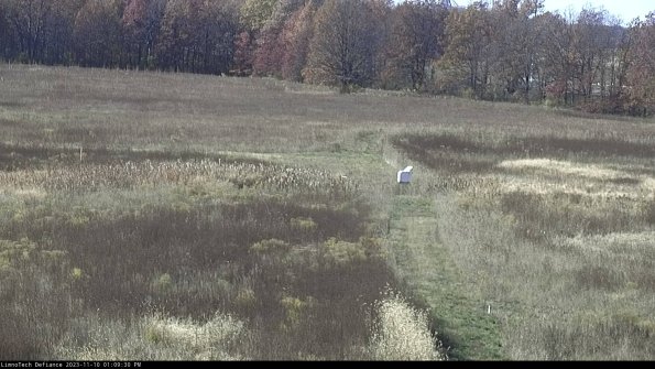 Cell 1 to 2_23-11-10_13-09-30-77