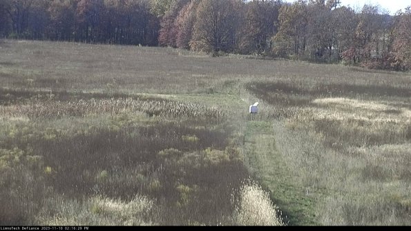 Cell 1 to 2_23-11-10_14-16-29-77