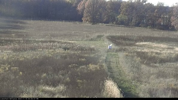 Cell 1 to 2_23-11-10_15-56-57-79