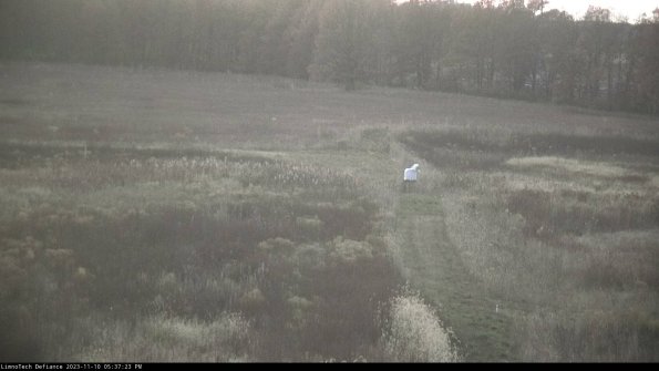 Cell 1 to 2_23-11-10_17-37-23-78