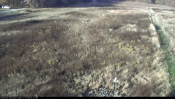 Cell 1_23-11-10_08-41-19-77