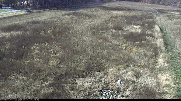 Cell 1_23-11-10_12-02-16-78