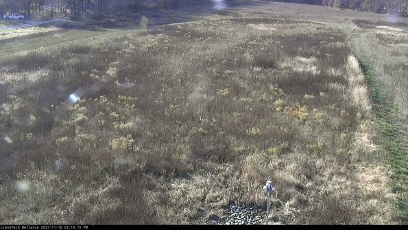 Cell 1_23-11-10_14-16-15-79