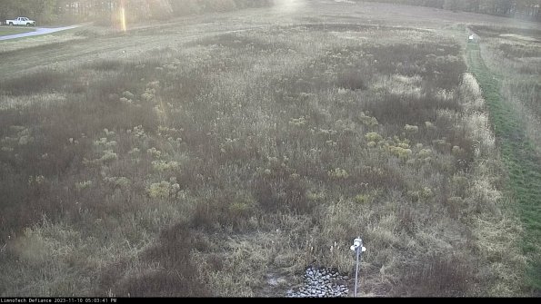 Cell 1_23-11-10_17-03-41-78