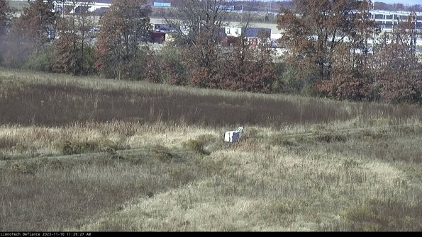 Cell 2 to 3_23-11-10_11-29-27-84