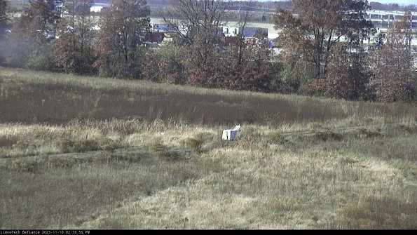 Cell 2 to 3_23-11-10_14-16-55-86