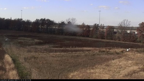 Cell 2_23-11-10_13-43-12-86