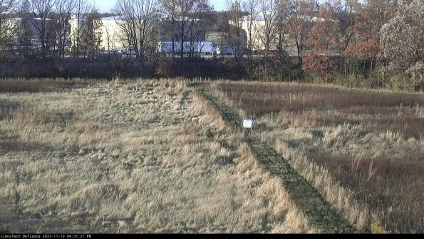 Cell 3 to 4_23-11-10_16-31-21-77