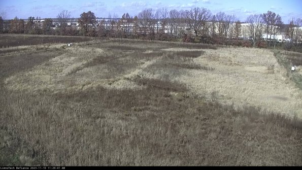 Cell 3_23-11-10_11-29-41-98