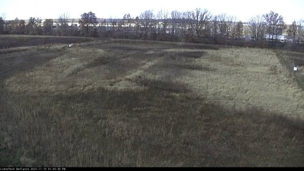 Cell 3_23-11-10_13-43-40-76