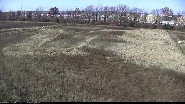 Cell 3_23-11-10_14-17-10-01