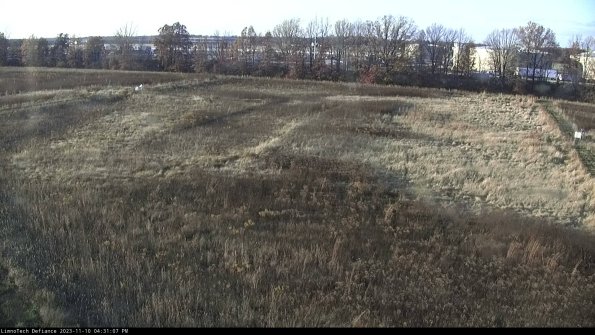 Cell 3_23-11-10_16-31-07-75