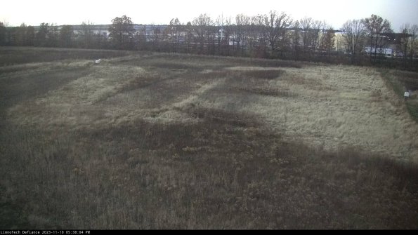 Cell 3_23-11-10_17-38-04-79