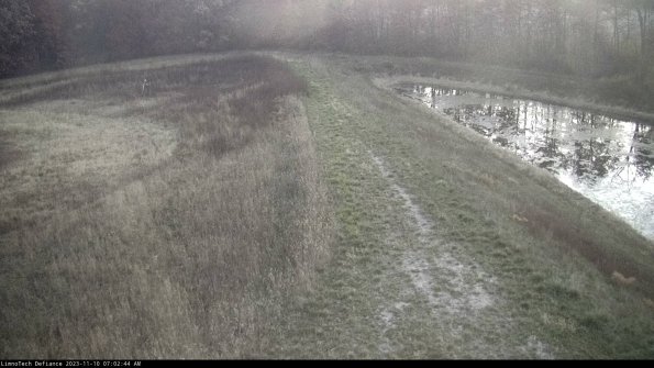 Cell 4 to Basin_23-11-10_07-02-44-77