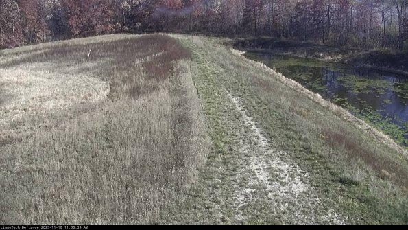 Cell 4 to Basin_23-11-10_11-30-39-77