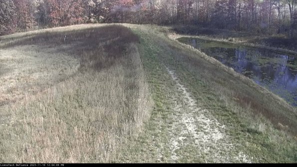 Cell 4 to Basin_23-11-10_12-04-09-79