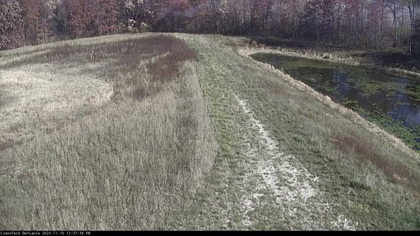 Cell 4 to Basin_23-11-10_12-37-39-78