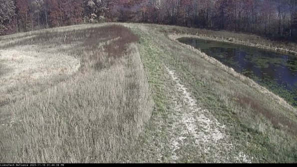 Cell 4 to Basin_23-11-10_13-44-38-78