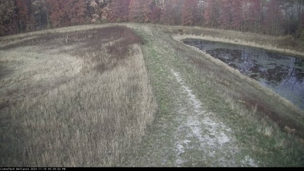 Cell 4 to Basin_23-11-10_17-39-02-78