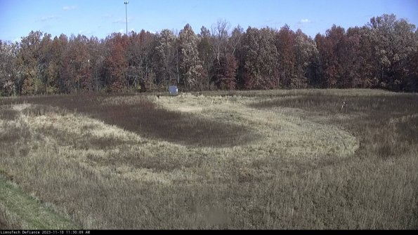 Cell 4_23-11-10_11-30-09-78