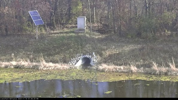 Basin Inflow_23-11-16_13-46-30-07