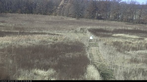 Cell 1 to 2_23-11-25_10-58-44-79