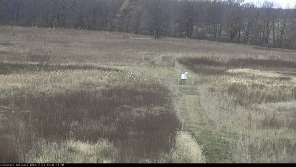 Cell 1 to 2_23-11-25_12-39-13-77