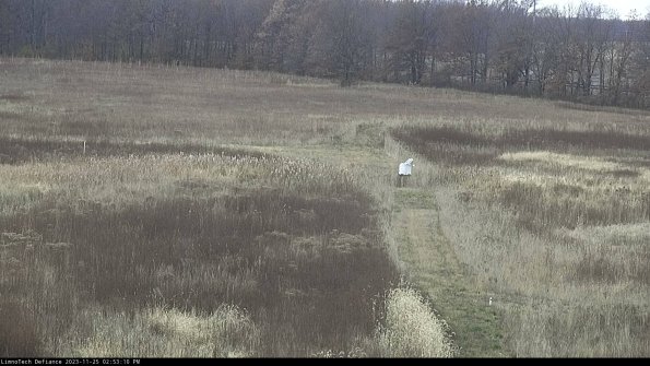 Cell 1 to 2_23-11-25_14-53-10-77