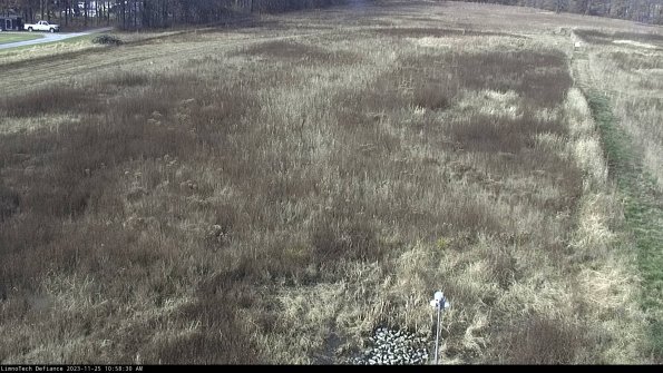 Cell 1_23-11-25_10-58-30-78