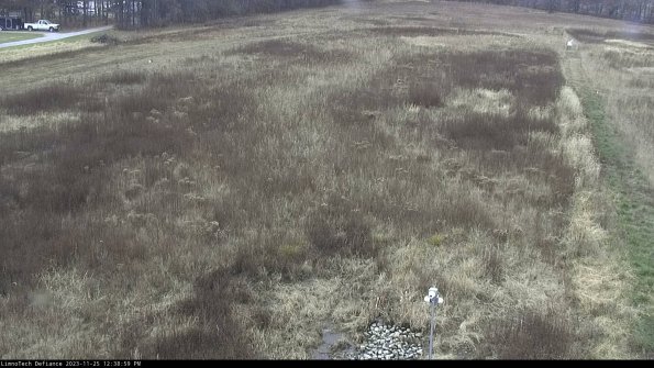 Cell 1_23-11-25_12-38-59-79