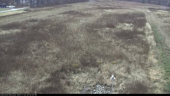 Cell 1_23-11-25_14-52-56-79