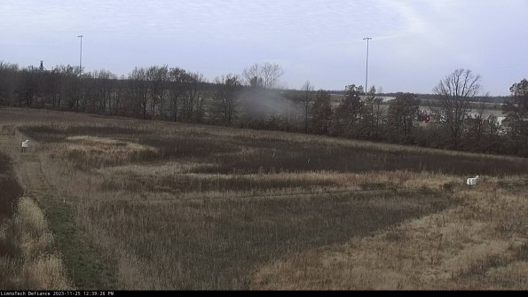 Cell 2_23-11-25_12-39-26-85