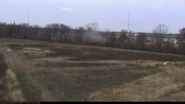 Cell 2_23-11-25_13-12-55-80