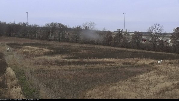 Cell 2_23-11-25_14-19-55-80