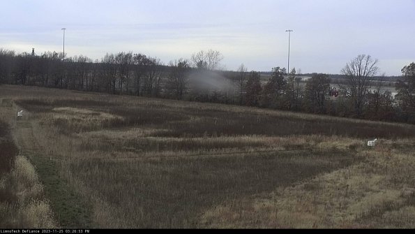 Cell 2_23-11-25_15-26-53-79