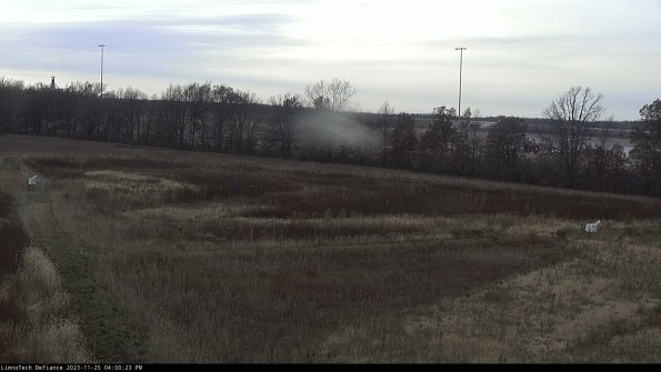 Cell 2_23-11-25_16-00-23-78