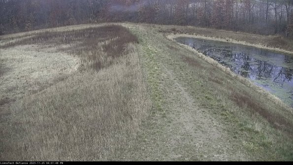 Cell 4 to Basin_23-11-25_16-01-48-76