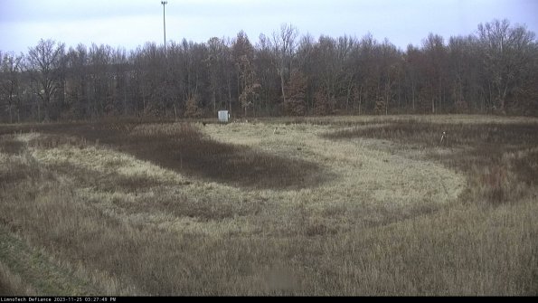 Cell 4_23-11-25_15-27-49-78