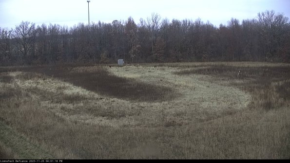 Cell 4_23-11-25_16-01-18-80