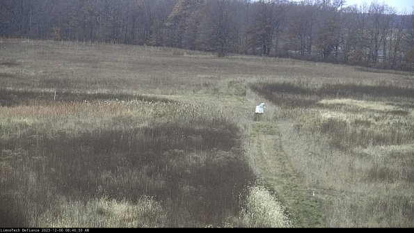 Cell 1 to 2_23-12-06_08-46-50-80