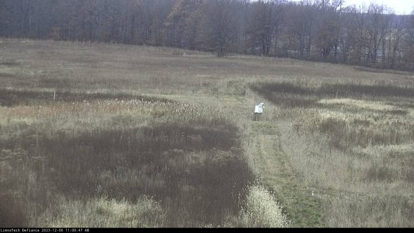 Cell 1 to 2_23-12-06_11-00-47-79