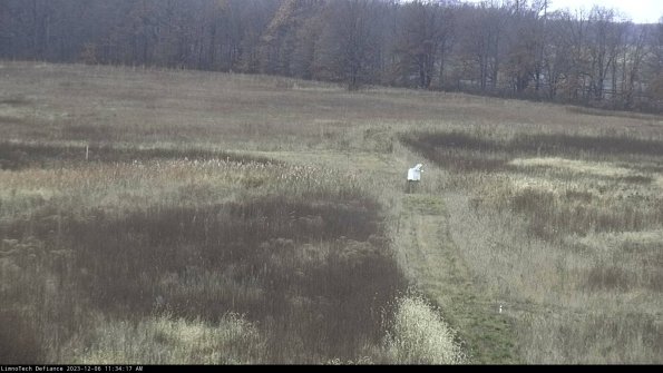 Cell 1 to 2_23-12-06_11-34-17-77