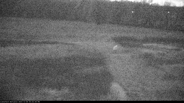 Cell 1 to 2_23-12-06_17-42-38-80