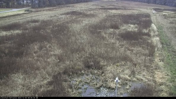 Cell 1_23-12-06_08-46-36-79